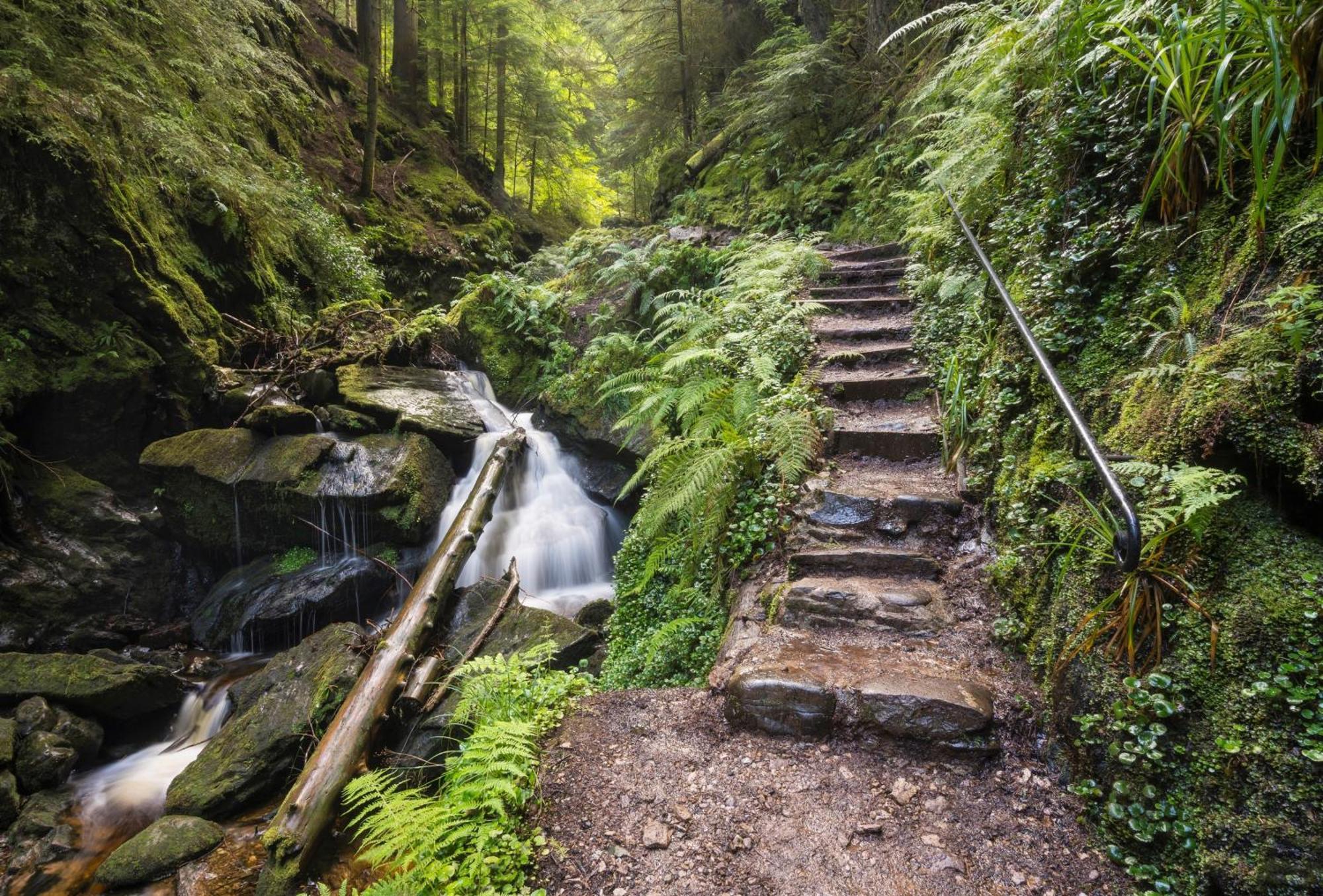 18 Lamont Lodges Dunoon Exteriör bild